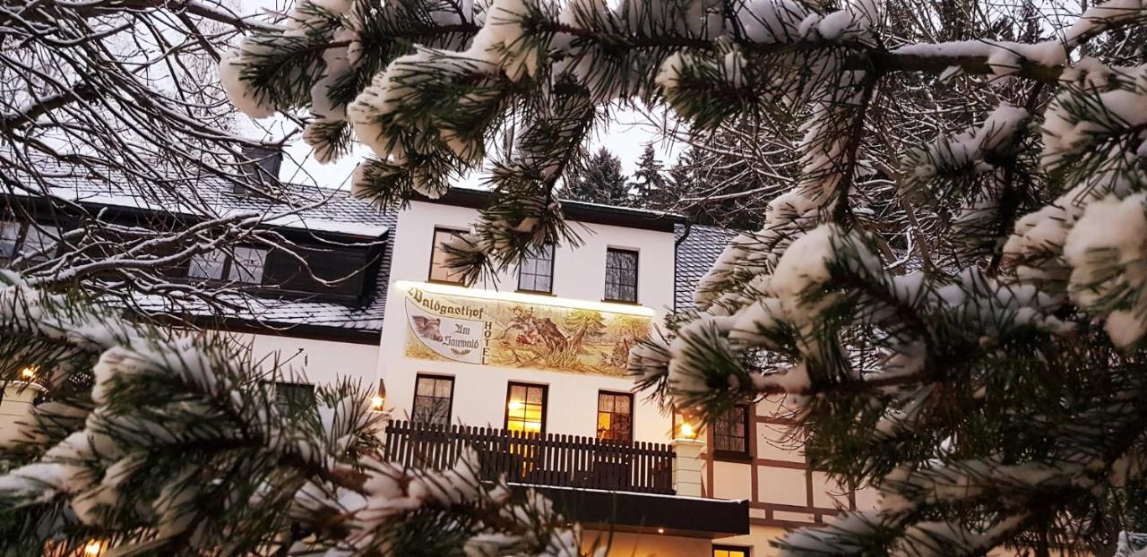 Waldgasthof & Hotel Am Sauwald Tannenberg Экстерьер фото