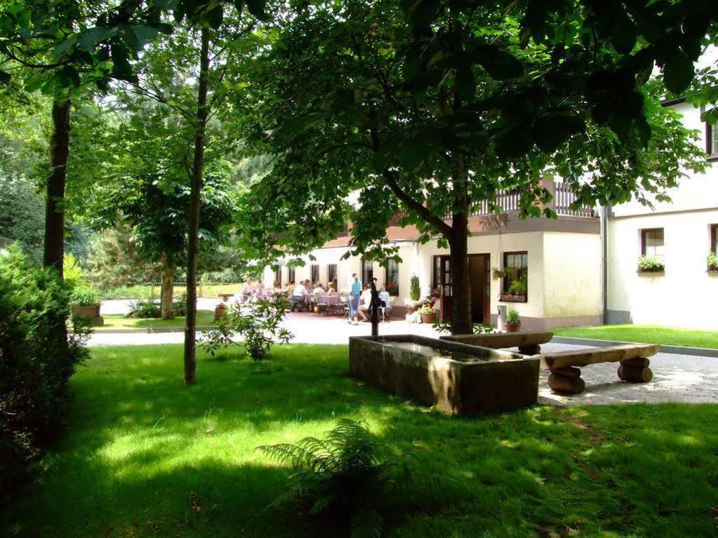 Waldgasthof & Hotel Am Sauwald Tannenberg Экстерьер фото